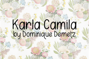 Karla Camila Font for Web Design