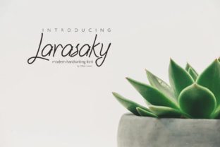 Larasaky: A Luxurious Script Font
