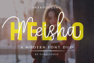 Meisha Duo: A Font for Bold Branding