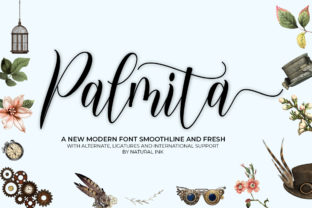 Palmita: A Beautiful Script Font for Business