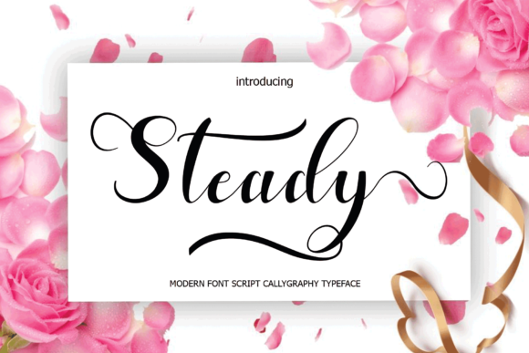 Steady: A Font That Elevates Your Brand